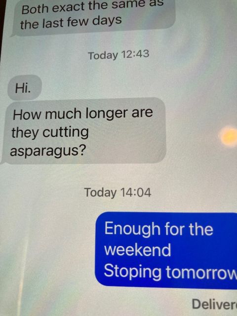 Veg text message