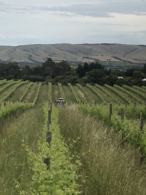 Inkwell - redefining weeds