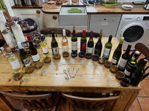 The cooking-with-wine experiment - the line-up of bottles with sauces