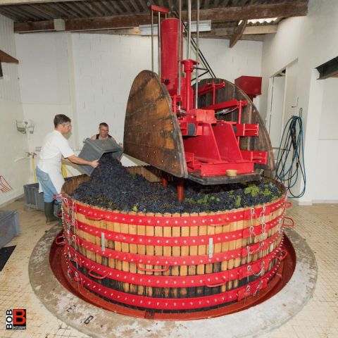 Coquard basket press