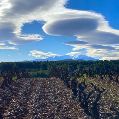sky over Dom des Lampyres vineyard