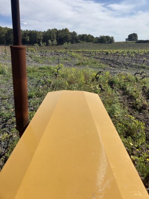 Dom des Lampyres - yellow tractor