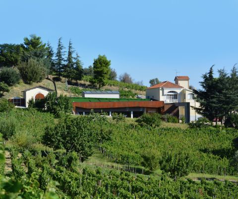 Elena Fucci winery