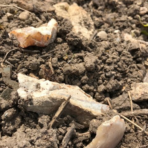 Jeaunaux-Robin flinty soil