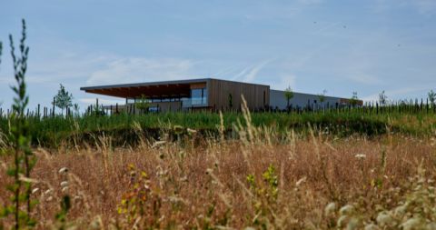 Rings winery (Ch Ernst)