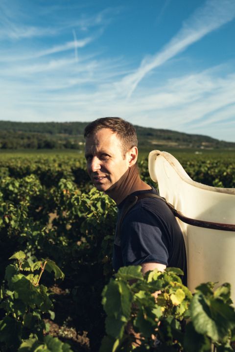 Genot-Boulanger - Guillaume