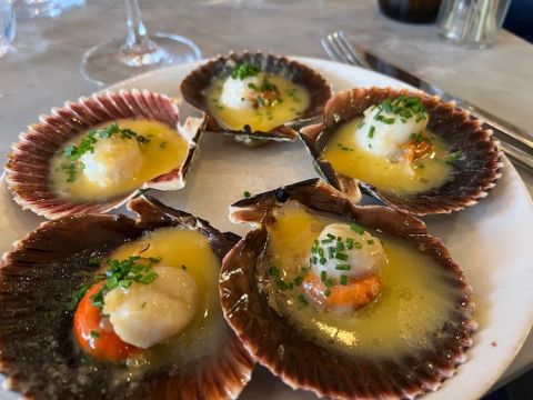 Little French scallops