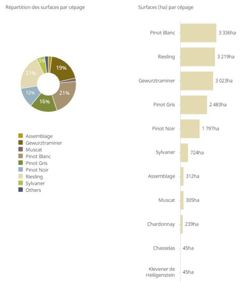 Alsace varieties 2022 CIVA