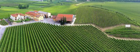 Monte del Fra Custoza winery and vineyards