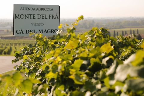 Monte del Fra Custoza winery and vineyards