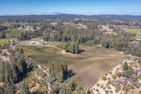 Dr Galante vineyard in Green Valley