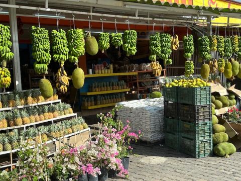 Mexican banana store