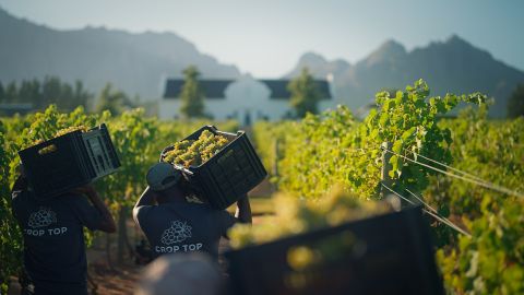 Brookdale harvest by Charles Russell