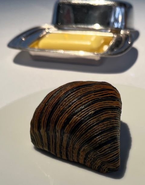 Alex Dilling charcoal bun