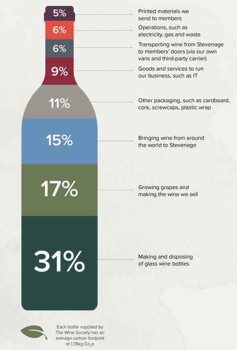 The Wine Society carbon report graphic