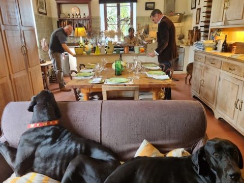 Hamilton Russell kitchen and laptop