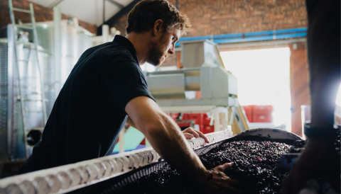 Christo Le Riche at Le Riche Wines (photo courtesy of Cape Winemakers Guild)