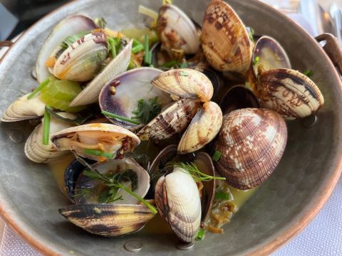 Bords de Mer clams
