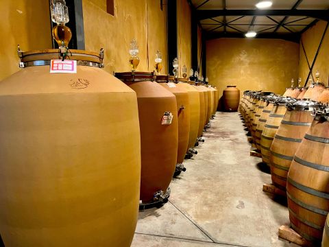 The l'Ou cellar – stoneware amphorae, eggs and barrels