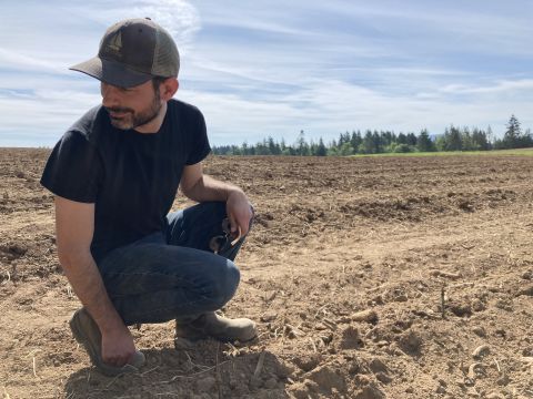 Dan Wright, by Alicia Onifrichuk