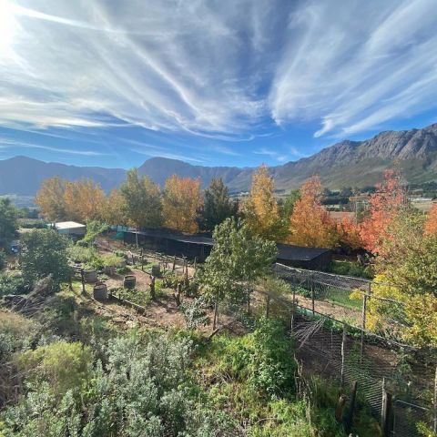 The veg garden at Haut Espoir