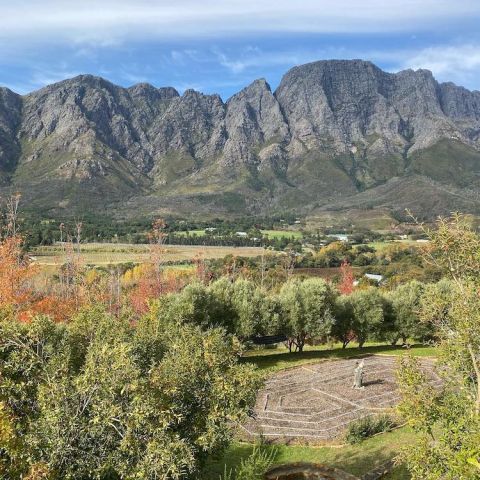The view from the Haut Espoir winery
