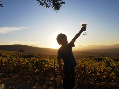 Kaapzicht next generation