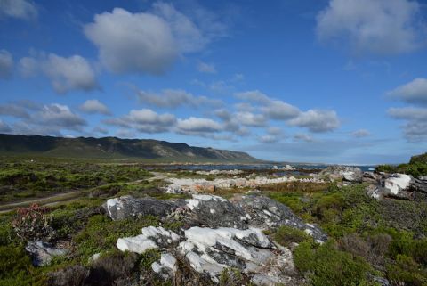 Cape Agulhas landscape