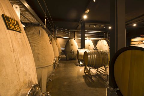 Susana Balbo - the cellar (photo credit Carol Ahumada)