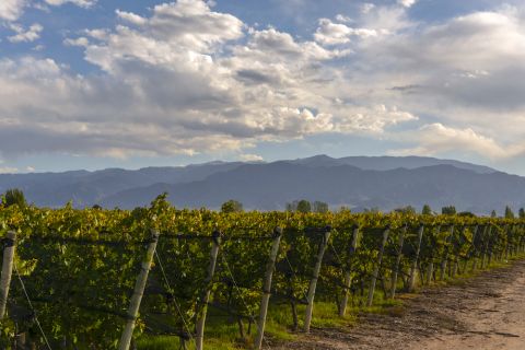 Finca La Delfina in Paraje Altamira (photo credit Carol Ahumada)