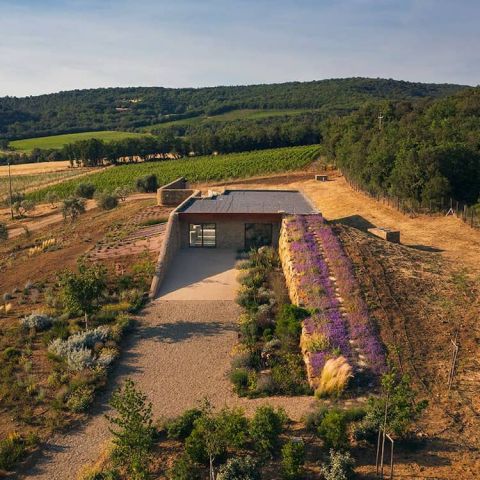 Giodo winery exterior