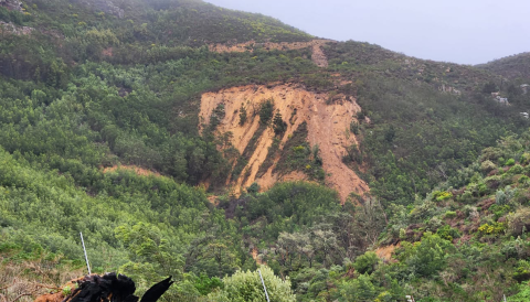 A hillside washed away in Klein Constantia