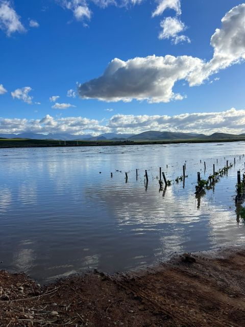 water swamped the vineyards ar Springfield Wine Estate