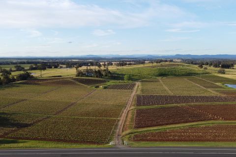 Aerial view of Tyrrells Short Flat vineyard