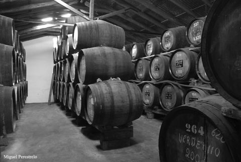 The ancient barrels of Barbeito Madeira