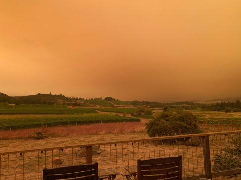 An Oregon vineyard in a haze of smoke from the 2020 wildfires. Photo courtesy Walter Scott Wines.