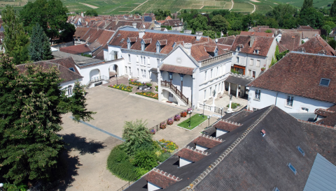 The William Fevre estate in Chablis