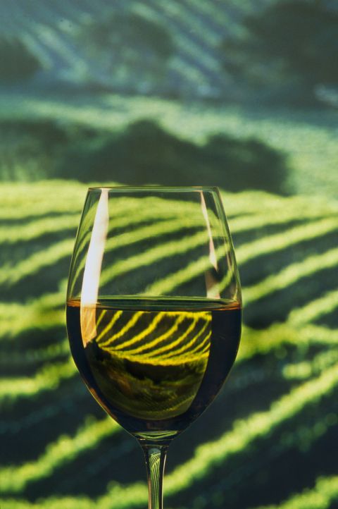 gettyimages-521319858-glass-reflected-in-vineyard