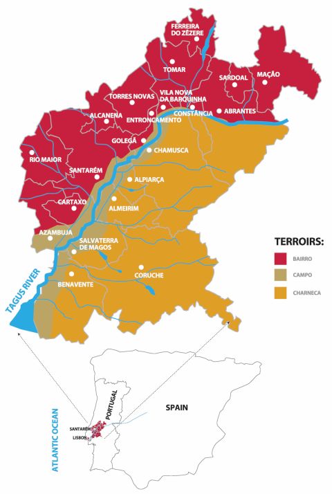 Tejo terroir map