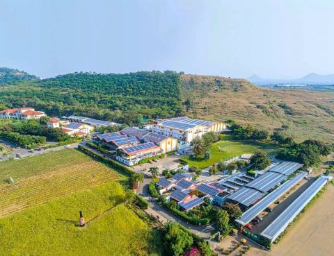 Sula Vineyards winery in India