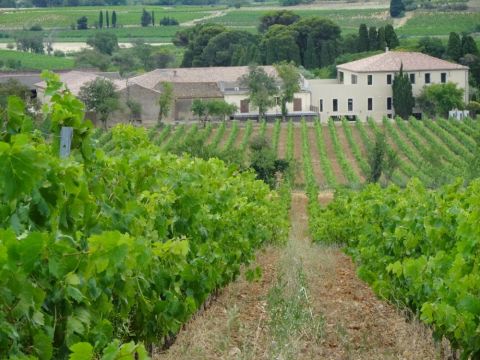 Château Ollieux Romanis in Corbières