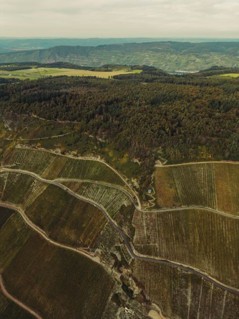 The Joh Jos Prüm vineyards