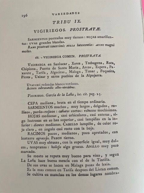 A page on 'Vigiriegos' from an old book about varieties in Jerez