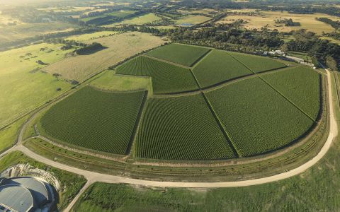 Elanto Vineyard aerial view credit Gary Wisniewski