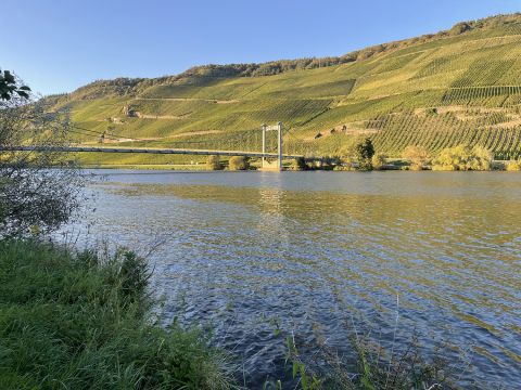 view across the River Mosel