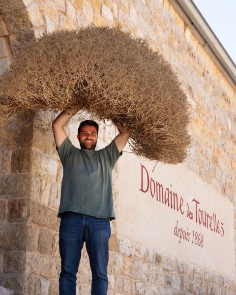 Faouzi Issa with thistles