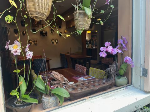 Laughing Javanese exterior