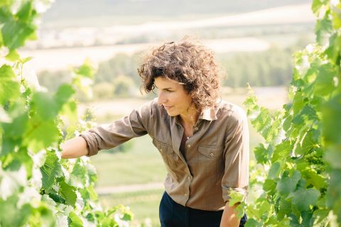 Alice Paillard among the vines