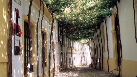 Calle Ciegos within the Gonzáles Byass winery complex in Jerez