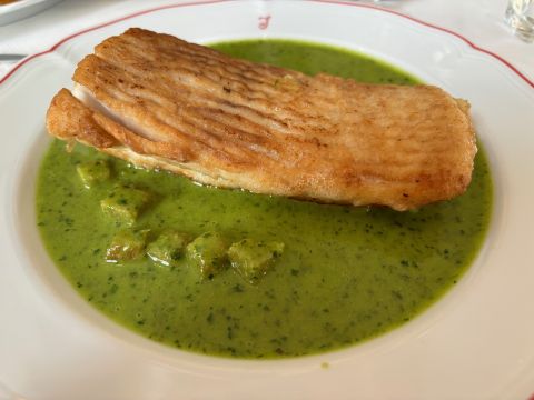 Josephine brill in sauce vierge